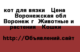 кот для вязки › Цена ­ 500 - Воронежская обл., Воронеж г. Животные и растения » Кошки   